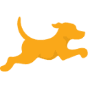 Fetch